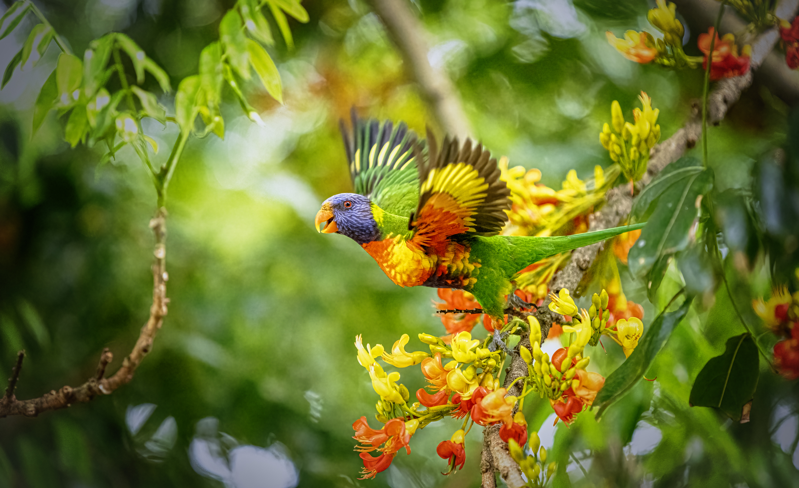 Meeting Photo Slide Show